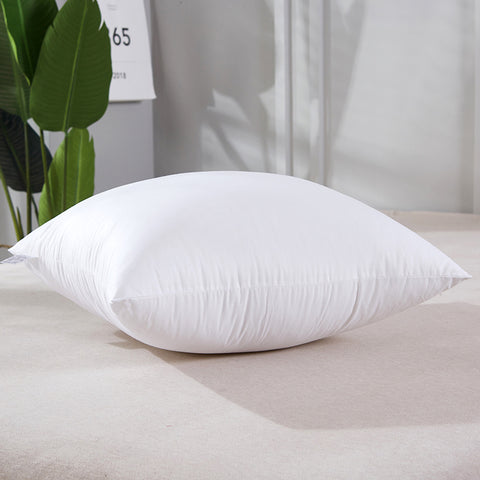 Cushion Large Pillow Core