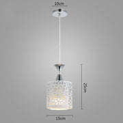 Modern Minimalist Nordic Single Head  Chandelier