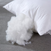 Cushion Large Pillow Core